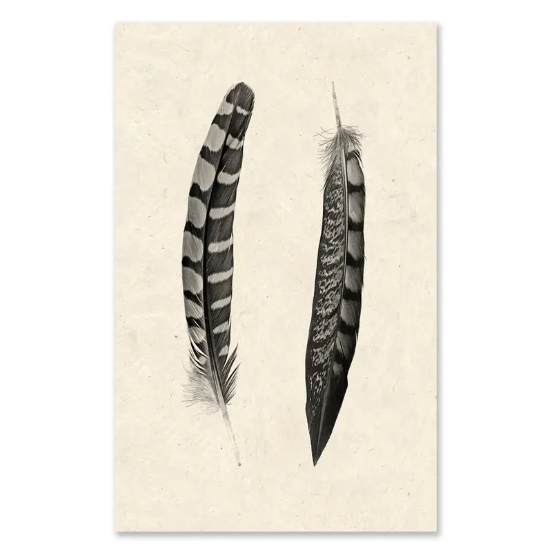 2 Curved Feathers Grand Format 1