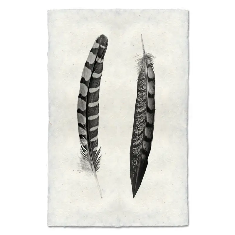 2 Curved Feathers (Partridge Wing / Lady Amherst Pheasant Tail) 1