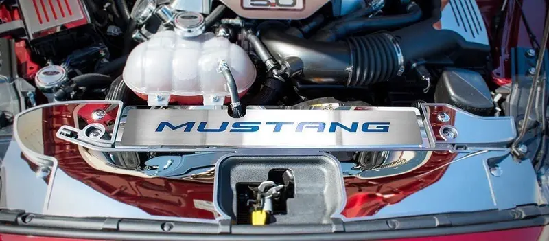 2015-2017 Mustang Gt/Ecoboost - Radiator Cover Vanity Plate 'Mustang' | Brushed, Choose Inlay Color 2