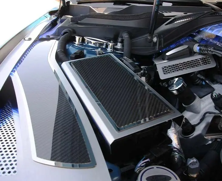 2015-2020 Mustang - Fuse Box Cover - Choose Finish W/Carbon Fiber Top Plate 1