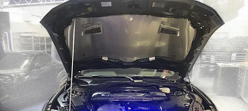 2018-2020 Mustang Gt - Hood Panel Perforated Vents | Stainless Steel, Choose Finish 1