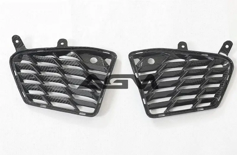 Agm C8 Carbon Fiber Rear Grill Inserts 1