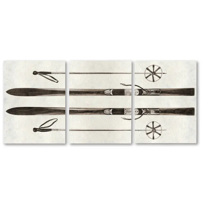 Alpine Skis Trilogy 1