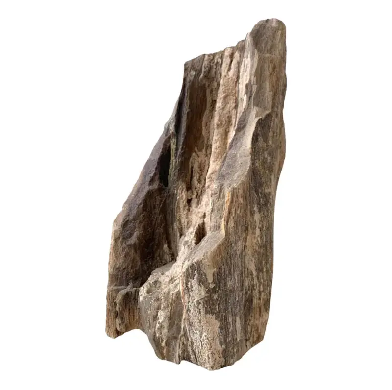 Ancient Petrified Tree Fragment 1