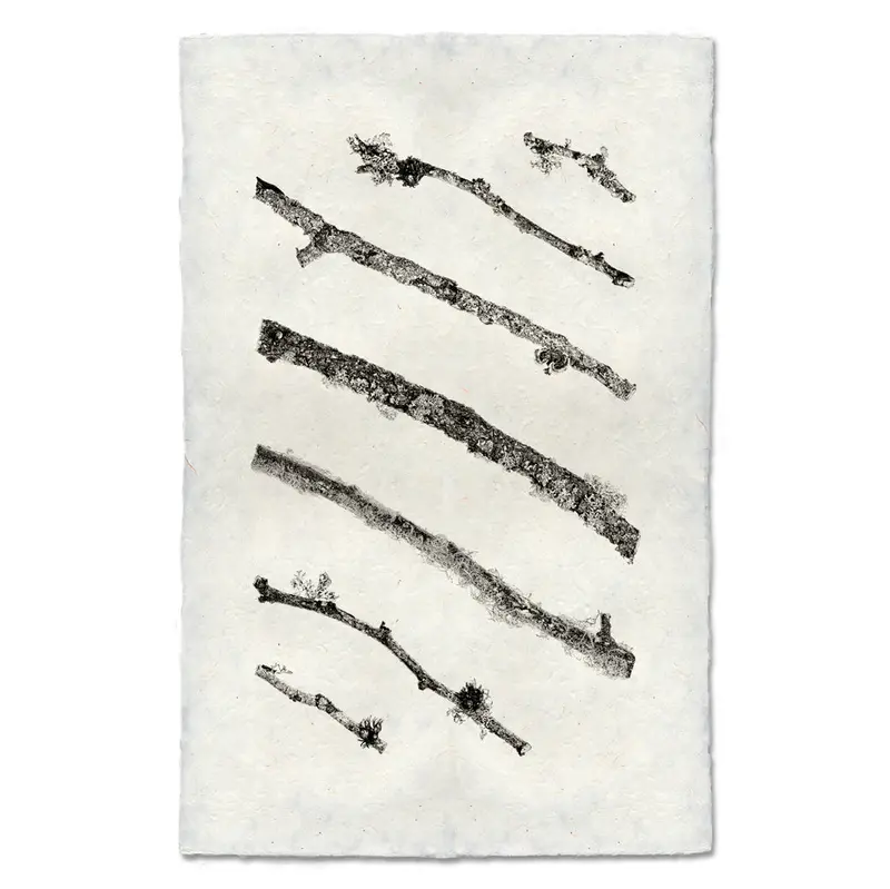 Angled Twigs #2 1