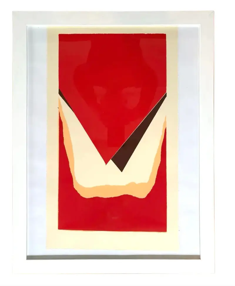 Barbara Beck 1971 Framed Screen Print On Paper In White Wood Frame 1