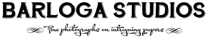 Barloga Studios Gift Card 1