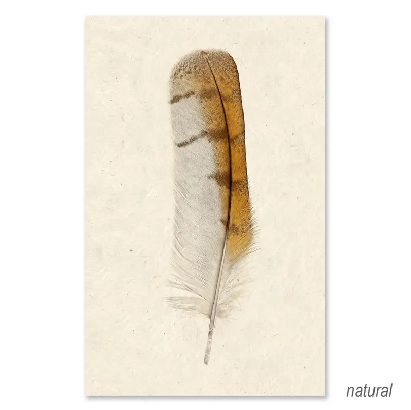 Barn Owl Grand Format 2