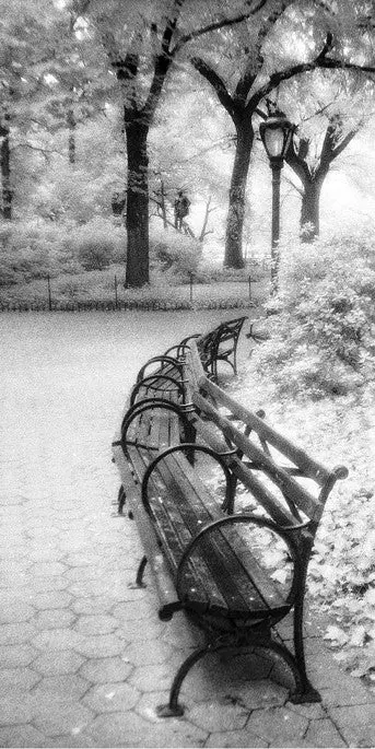 Bench And Lamp - Central Park, Ny 1