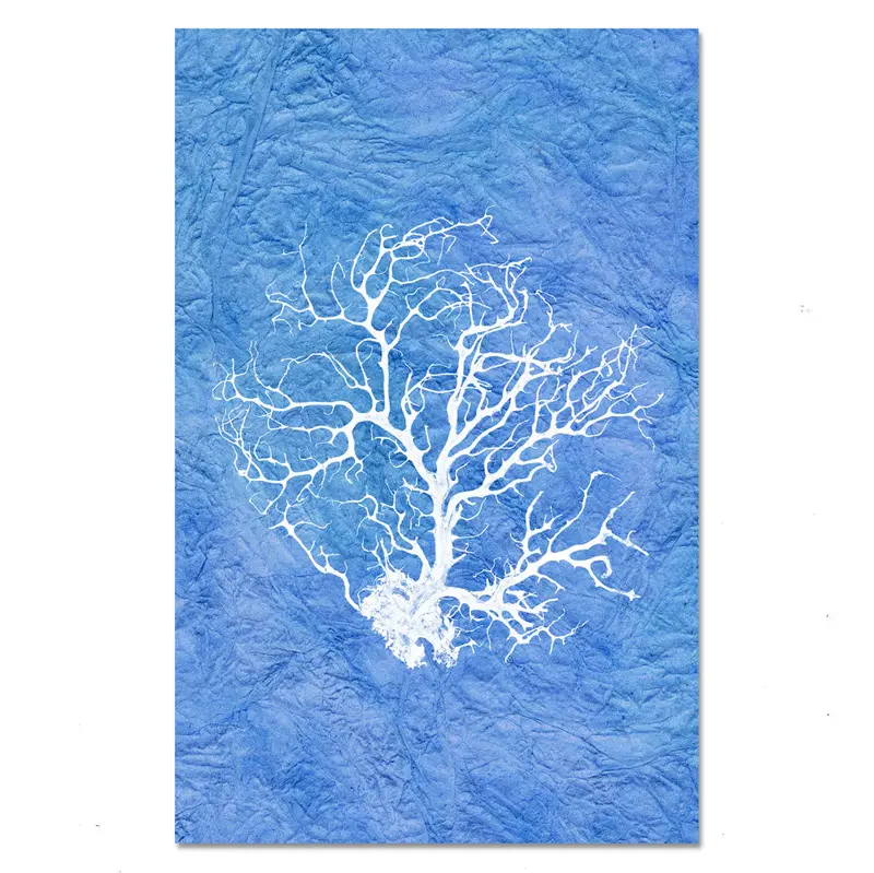 Black Coral Fan #1 1