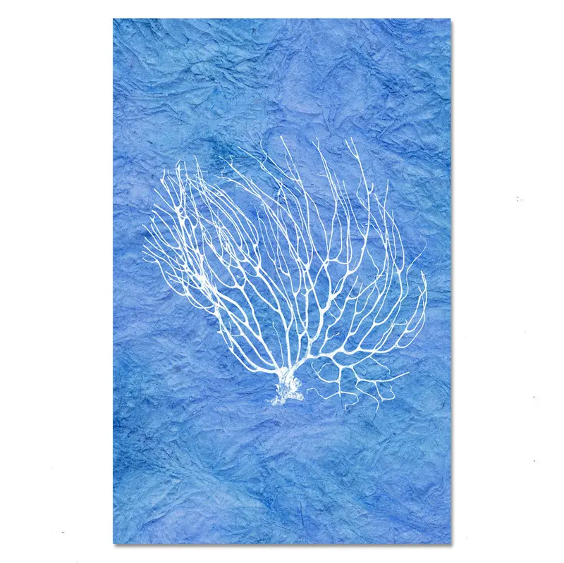 Black Coral Fan #2 1
