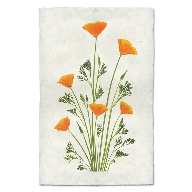 Blooming Poppies #2 1