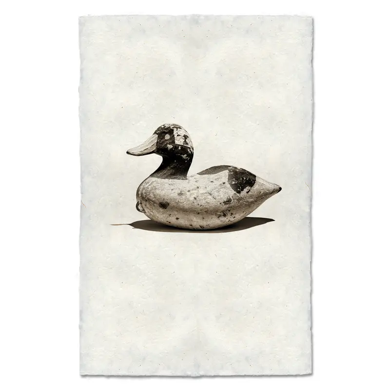 Bufflehead Decoy 1