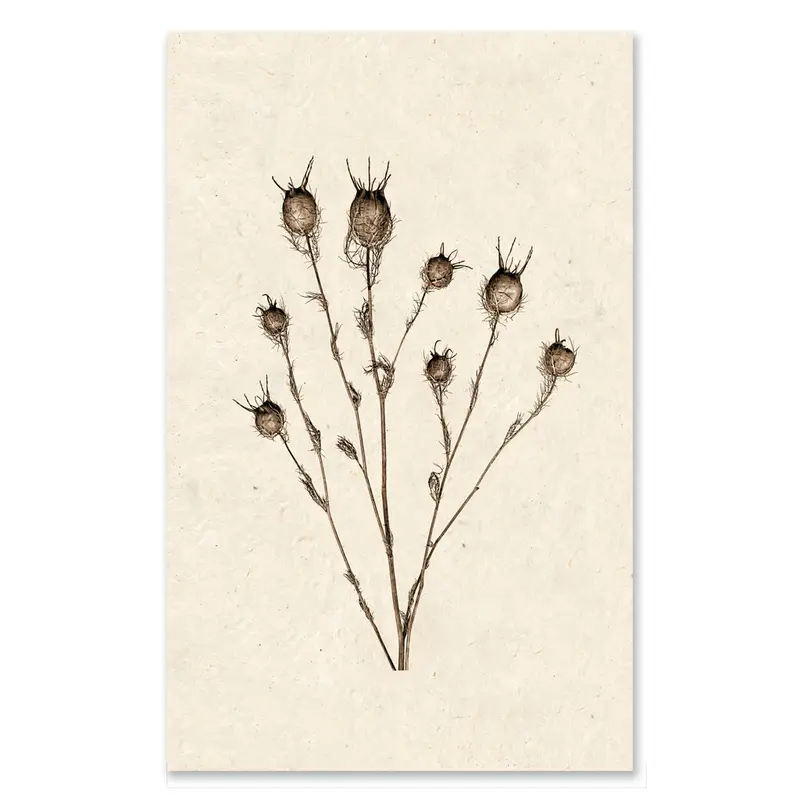 Bulb Form Grand Format 1