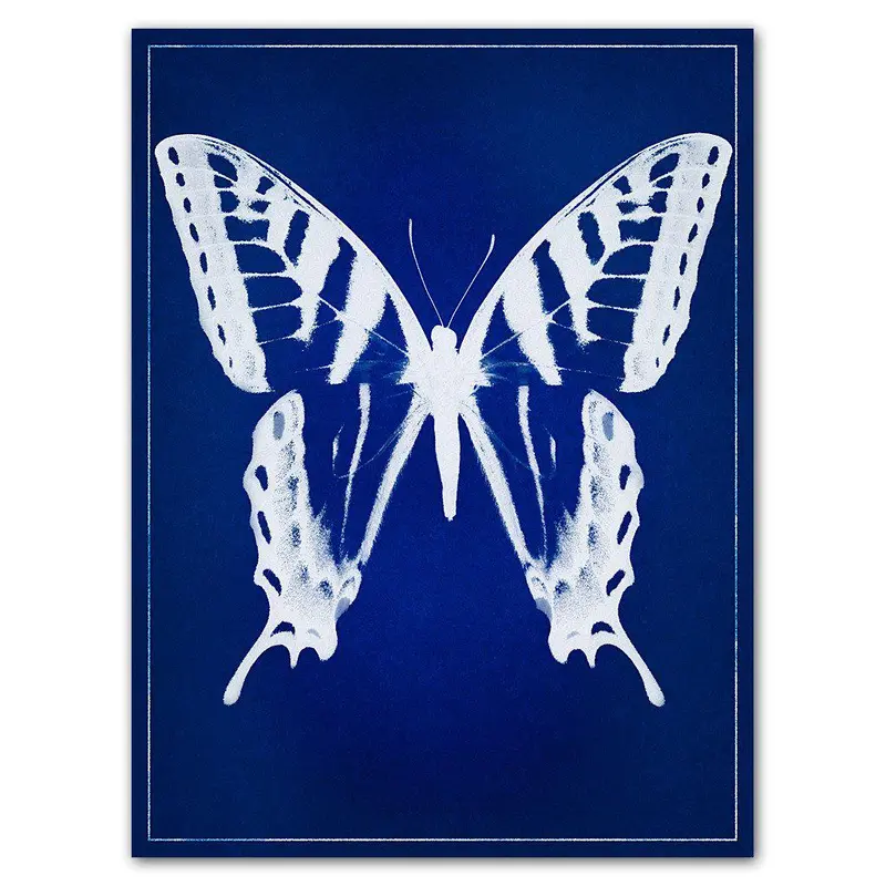Butterfly Blue Print 1