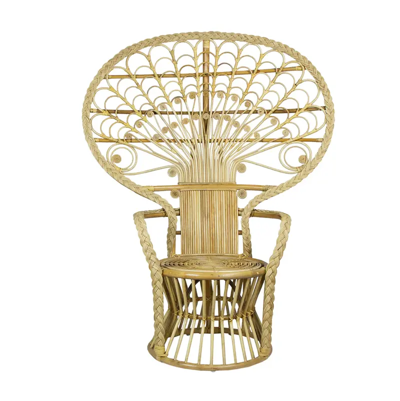 Cabana Rattan Peacock Chair - Matthew Izzo Collection 1