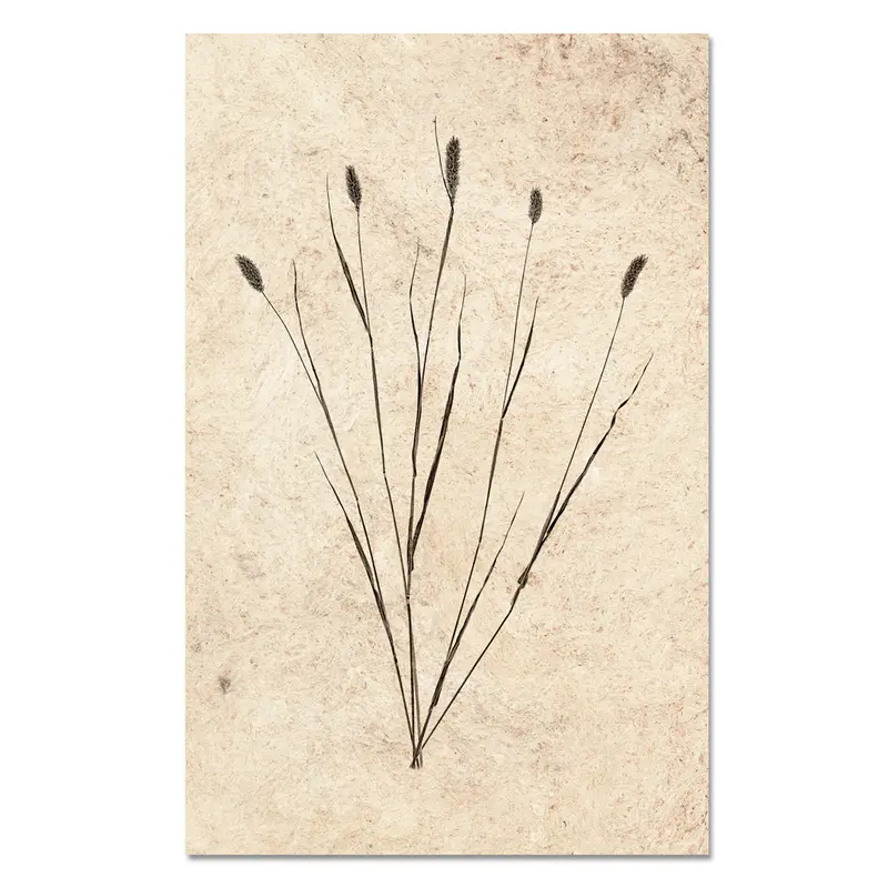 Canary Grass Form 1