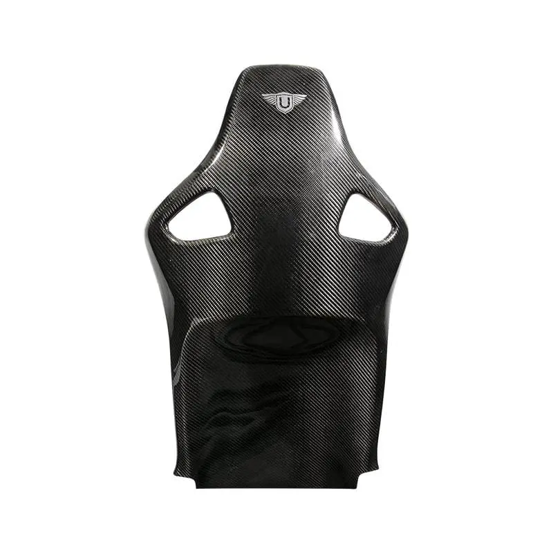 Carbon Fibre Seat Backs (L494 Svr 2015-2017) 1