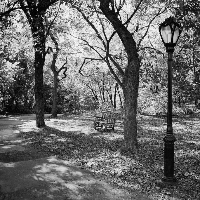 Central Park Summer - Central Park, Ny 1