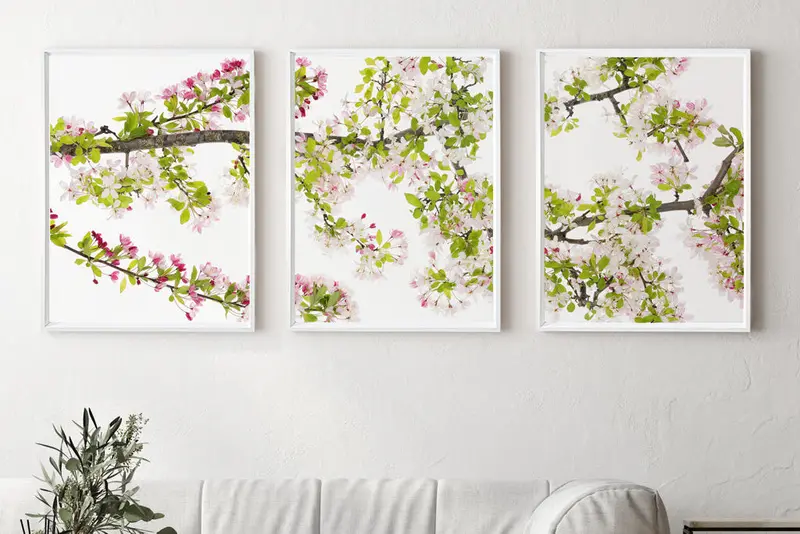 Cherry Blossom Trilogy 3