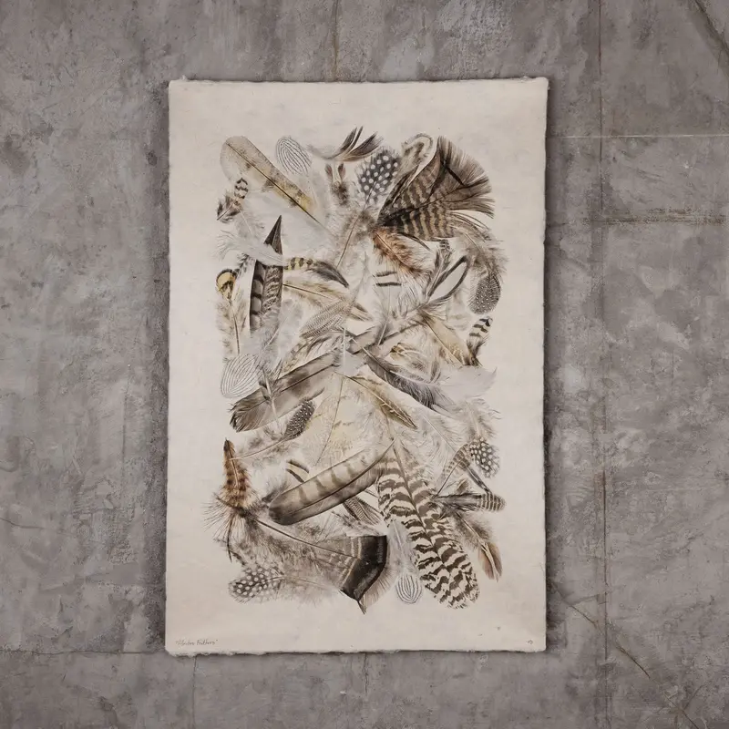 Collective Feathers Display (20"X30") 1