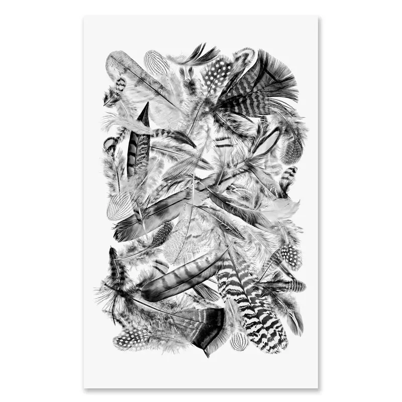 Collective Feathers Grand Format (Black And White) 1