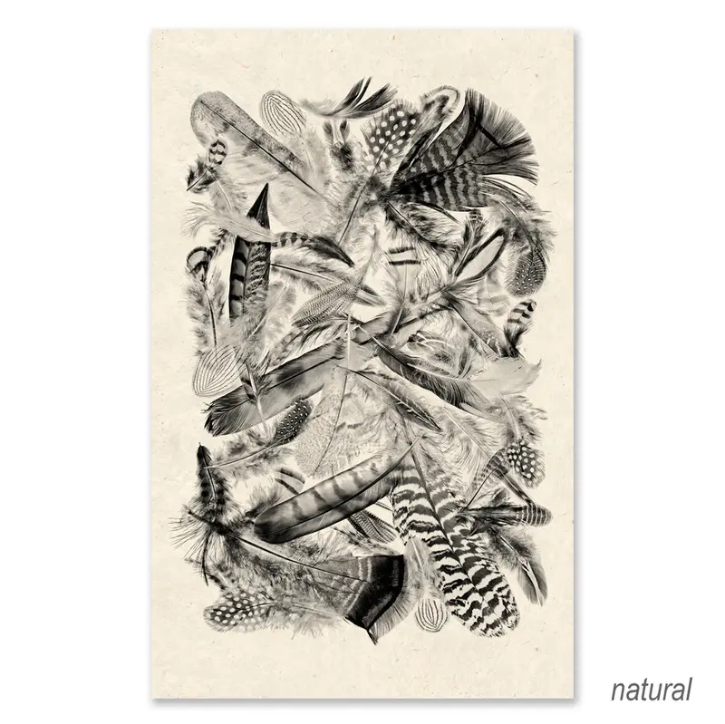 Collective Feathers Grand Format (Black And White) 2
