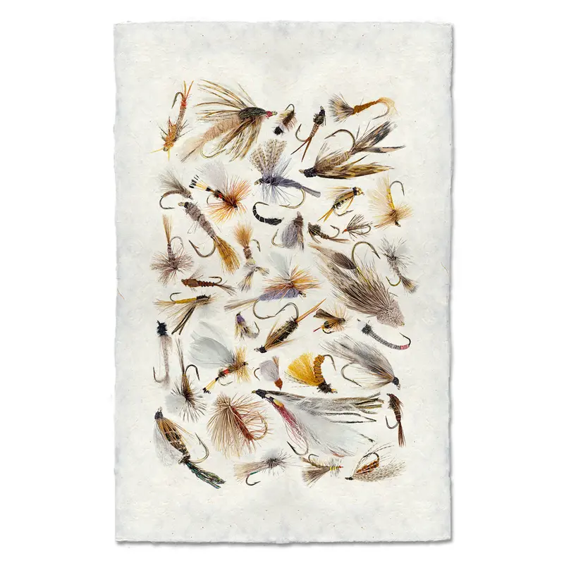 Collective Fishing Flies #2 1