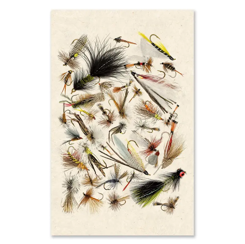 Collective Fishing Flies Grand Format 1