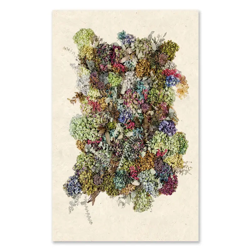 Collective Hydrangeas Grand Format 1