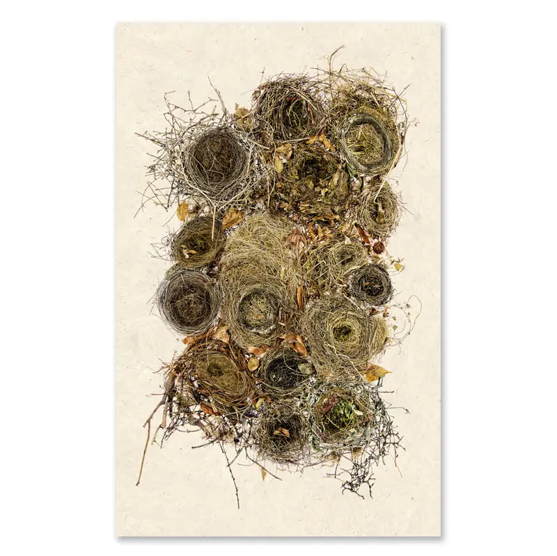 Collective Nests Grand Format 1