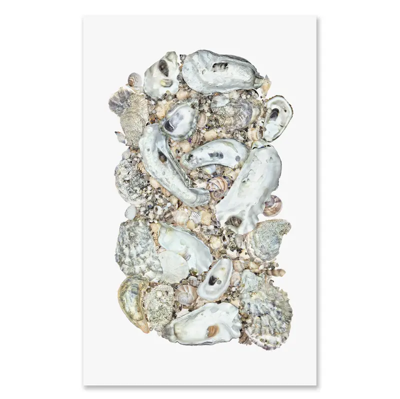 Collective Oysters Grand Format 1