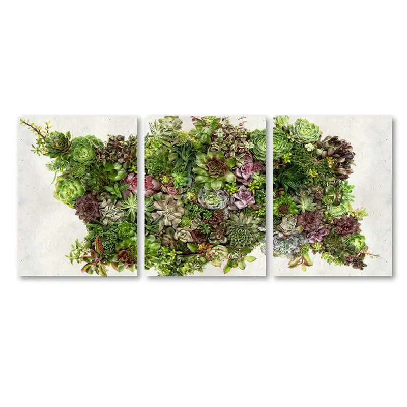Collective Succulents Trilogy 1