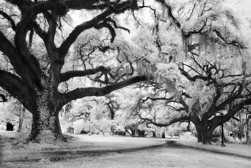 Convergence- New Orleans, La 1