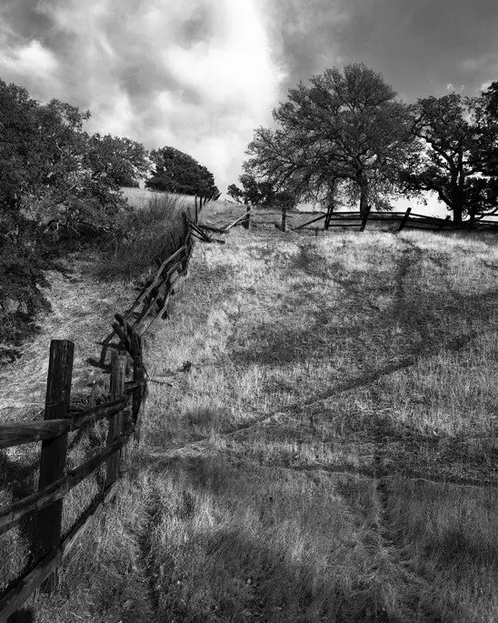 Crooked Fence, Mt. Diablo- Contra Costa, Ca 1