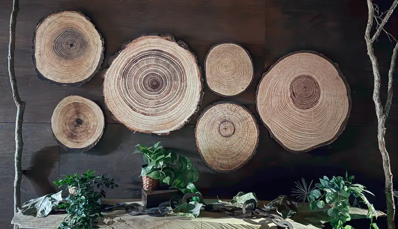 Dimensional Installation - Wood Rings 1