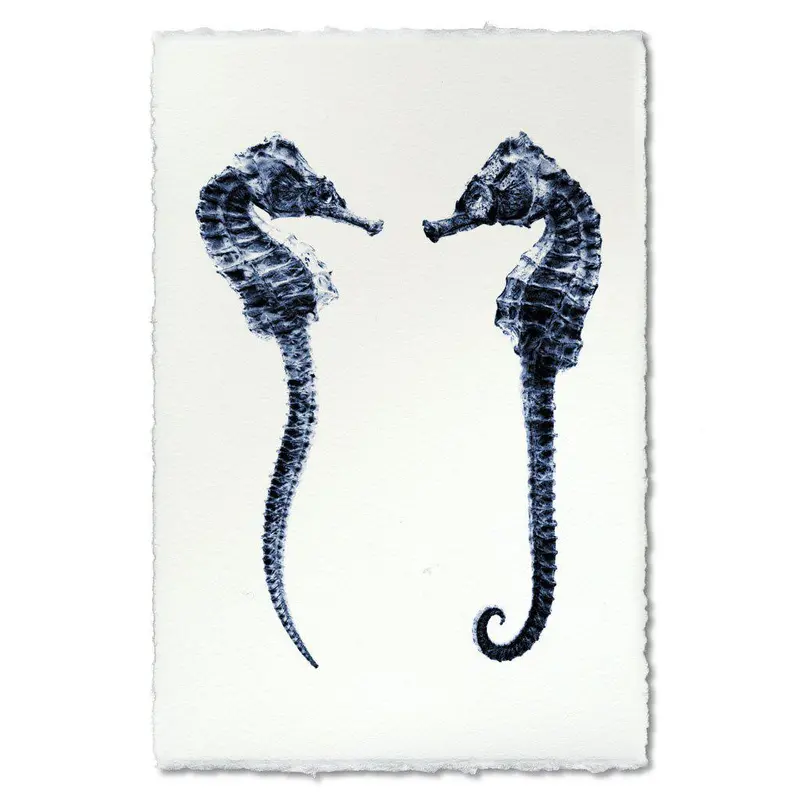 Double Seahorse 1