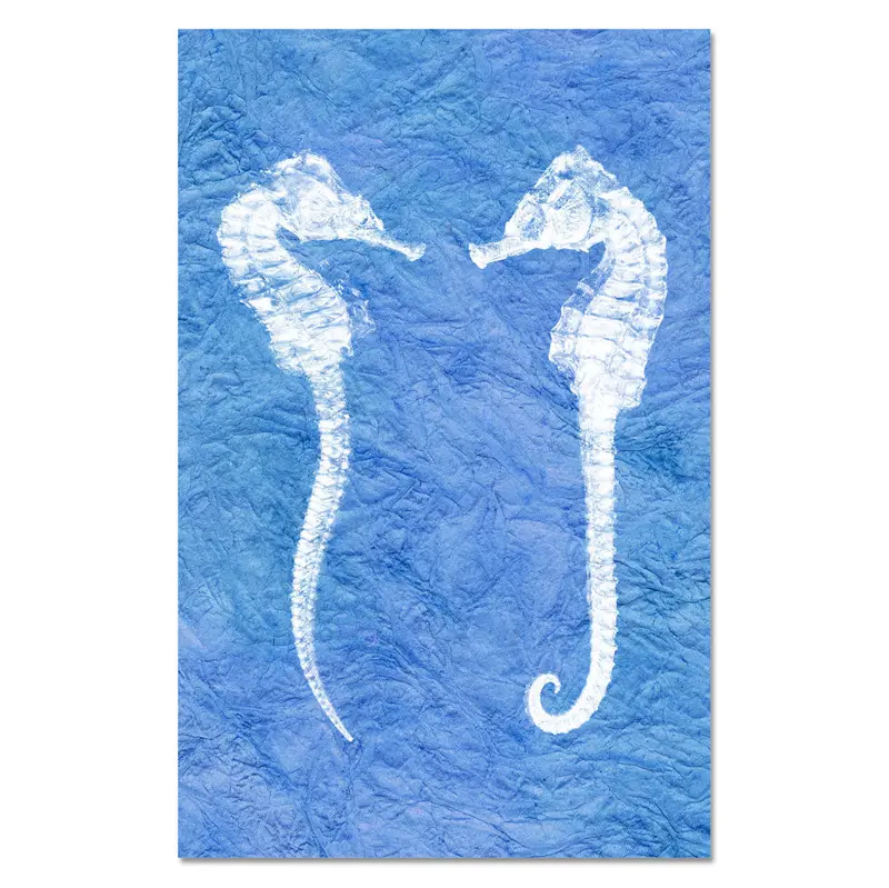 Double Seahorse 1