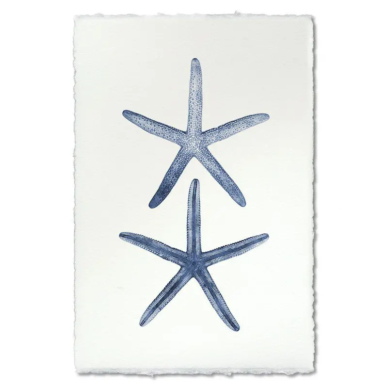 Double Starfish 1