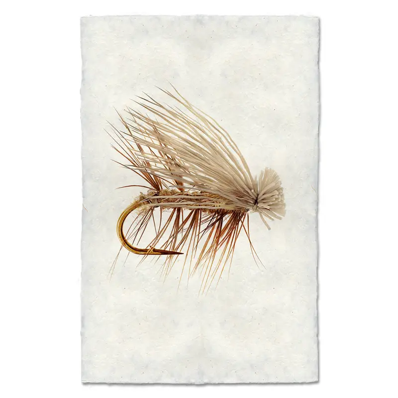 Elk Hair Caddis 1