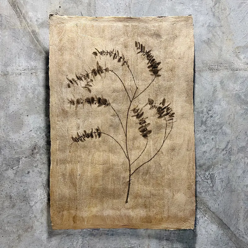 Eucalyptus #2 (Amate Sierra) 1