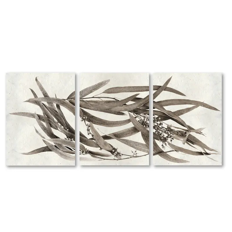 Eucalyptus Trilogy 1