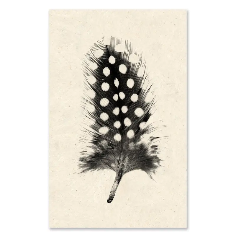 Feather #1 Grand Format 1