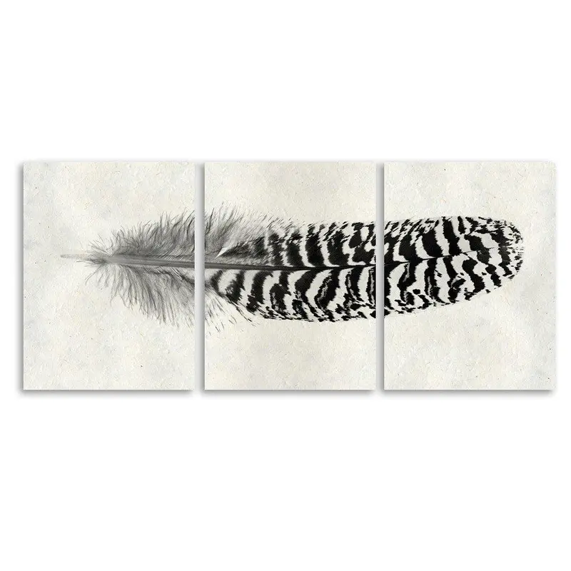 Feather #13 Trilogy Horizontal 1