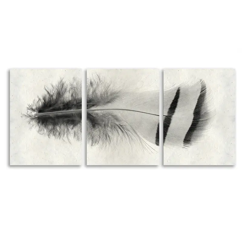 Feather #15 Trilogy 1