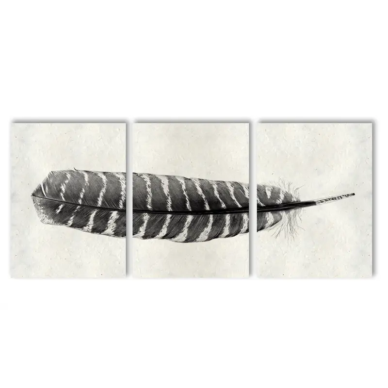 Feather #16 (Wild Turkey) Trilogy 1