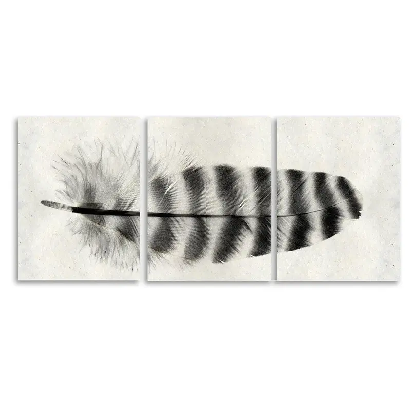 Feather #17 (Barred Rock Hen) Trilogy 1