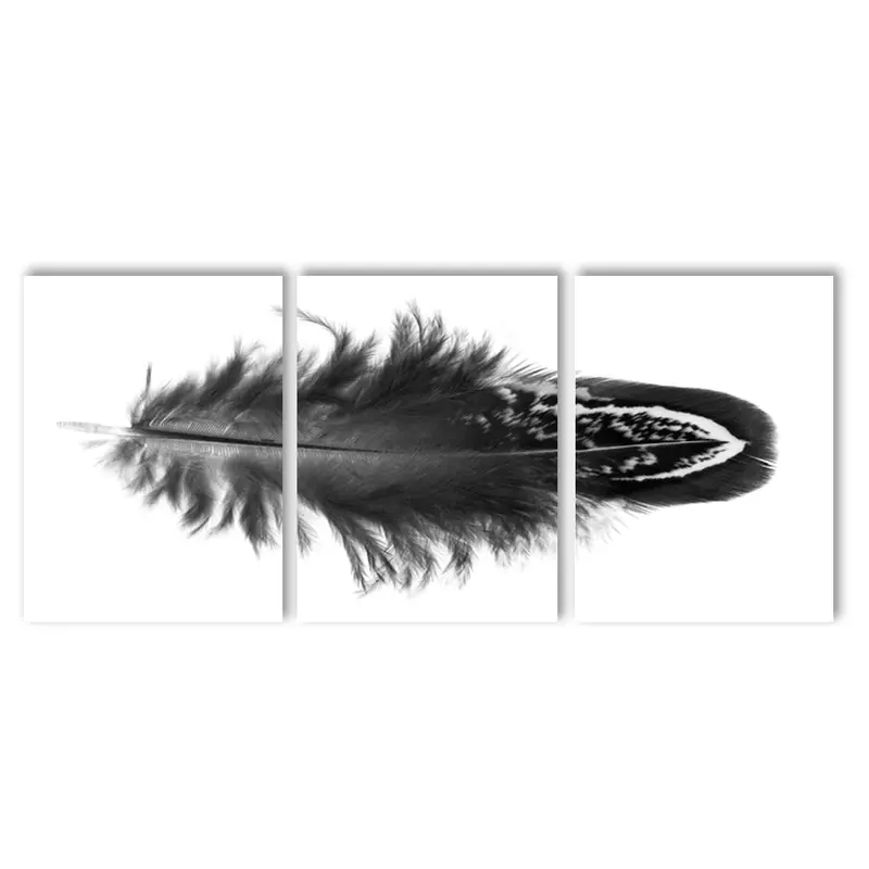 Feather #3 (Mallard Duck) Trilogy 2