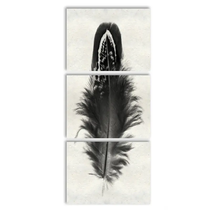 Feather #3 (Mallard Duck) Trilogy 3