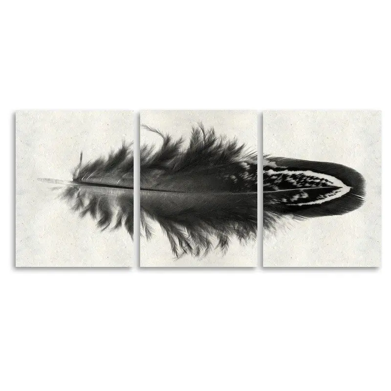 Feather #3 Trilogy Horizontal 1